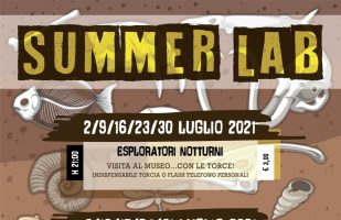 ‘SUMMER LAB’: i nostri laboratori del mese di luglio!